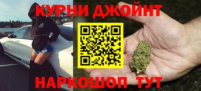 молекула духа Будённовск