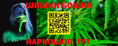 молекула духа Будённовск
