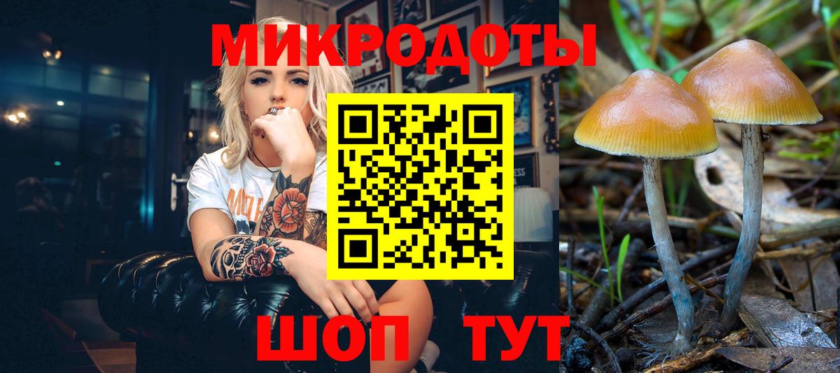 Галлюциногенные грибы прущие грибы  купить закладку  Мичуринск  Галлюциногенные грибы мицелий  Вход с VPN 